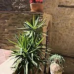 Dom wakacyjny Pozzo Medievale Prignano Cilento