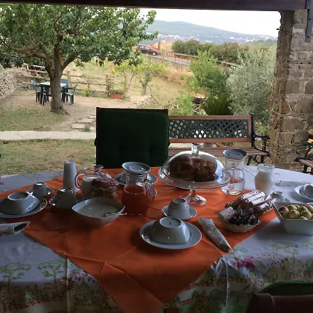 Pozzo Medievale Prignano Cilento