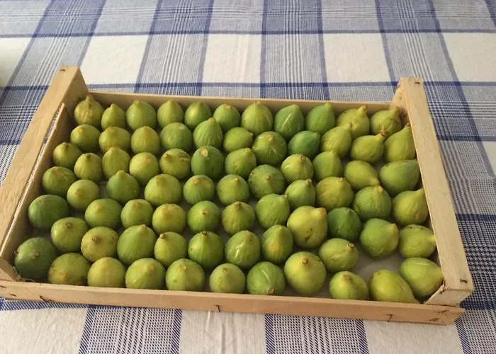 Pozzo Medievale * Prignano Cilento